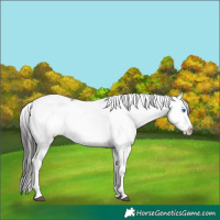 Horse Color:Liver Chestnut Frame 