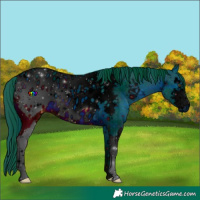 Horse Color:ERROR: UNKNOWN ANOMALY