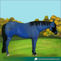 Horse Color:ERROR: UNKNOWN ANOMALY