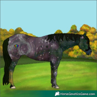 Horse Color:ERROR: UNKNOWN ANOMALY