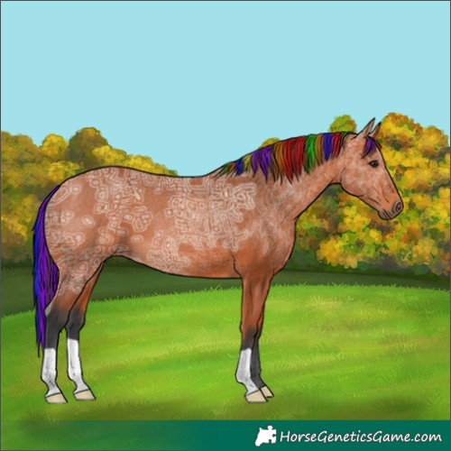 Horse Color:Painted Bay Ice 