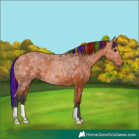 Horse Color:Painted Bay Ice 