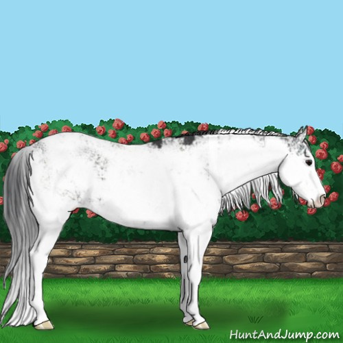 Horse Color:Black Sabino