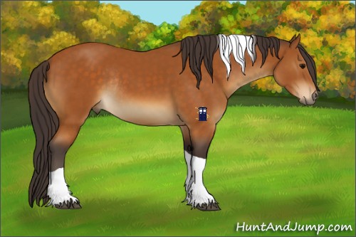 Horse Color:Buckskin Tobiano Rabicano 