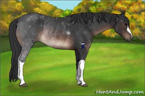 Horse Color:Brown Rabicano 