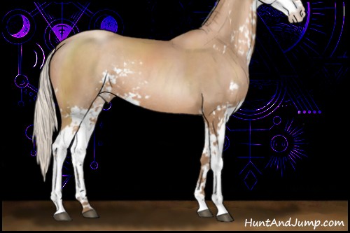 Horse Color:Silver Black Pearl Sabino Rabicano 