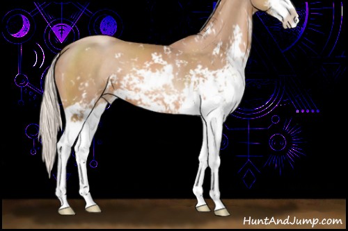 Horse Color:Silver Black Pearl Sabino 