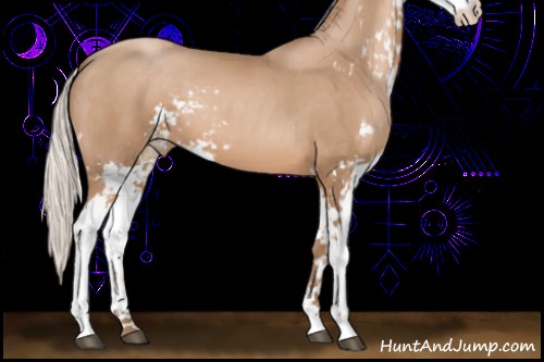 Horse Color:Silver Black Pearl Sabino 