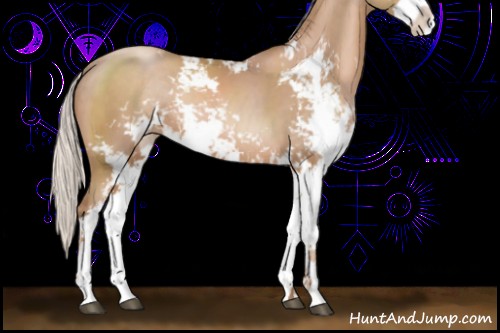 Horse Color:Silver Black Pearl Sabino Rabicano 