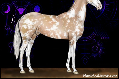 Horse Color:Silver Black Pearl Sabino 
