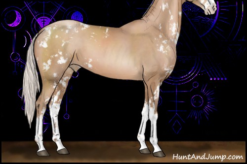 Horse Color:Silver Black Pearl Sabino 