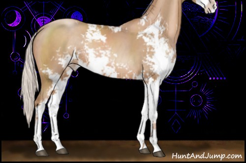 Horse Color:Silver Black Pearl Sabino Rabicano 