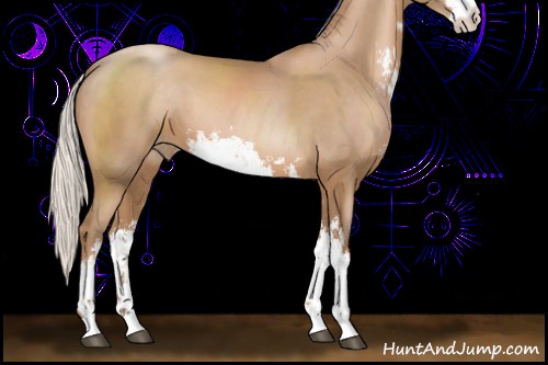 Horse Color:Silver Black Pearl Sabino 