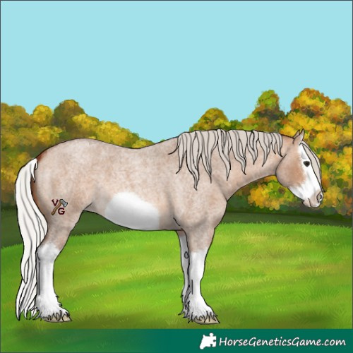 Horse Color:Silver Brown Roan Dun Splash Frame 