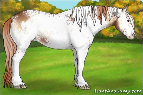 Horse Color:White Spotted Red Onyx 