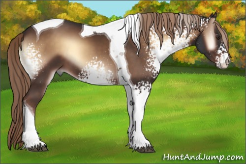 Horse Color:White Spotted Liver Red Onyx Tobiano 