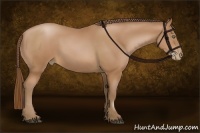 Horse Color:Brown Pearl 