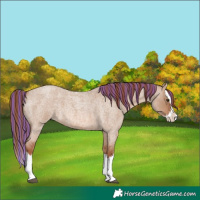 Horse Color:Painted Red Dun Roan Splash