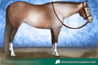 Horse Color:Gray Brown Pearl 