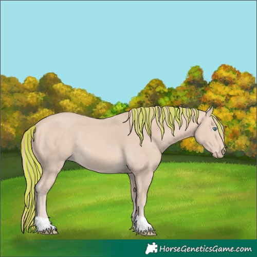 Horse Color:Painted Perlino 
