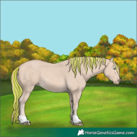 Horse Color:Painted Perlino 