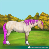 Horse Color:Painted Silver Buckskin Roan
