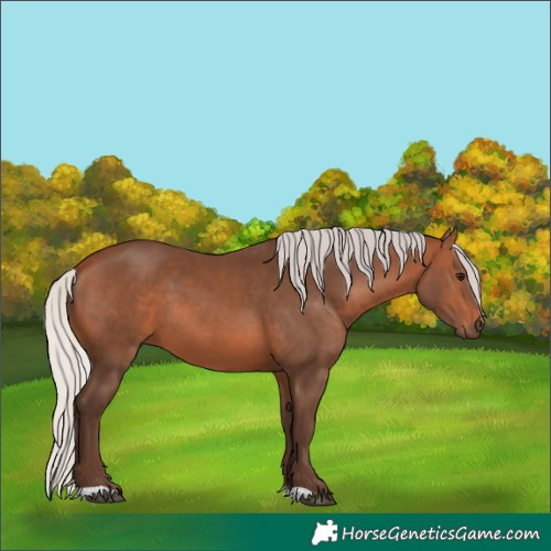 Horse Color:Silver Brown 