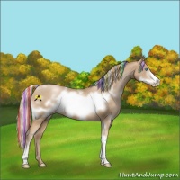 Horse Color:Painted White Spotted Chocolate Palomino Pearl Frame 