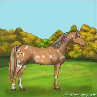 Horse Color:Painted White Spotted Palomino 