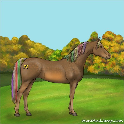 Horse Color:Painted Chocolate Palomino 