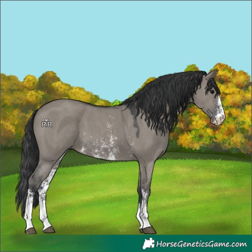 Horse Color:Grullo Sabino 