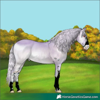 Horse Color:ERROR: UNKNOWN ANOMALY