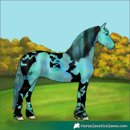 Horse Color:Void Nacre Watercolor Black Tobiano 