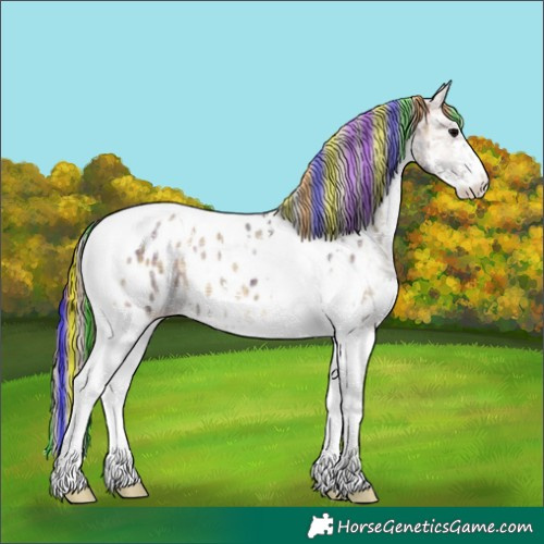 Horse Color:Painted Plaid  Smoky Blue Onyx Ice Sabino Tobiano Appaloosa 