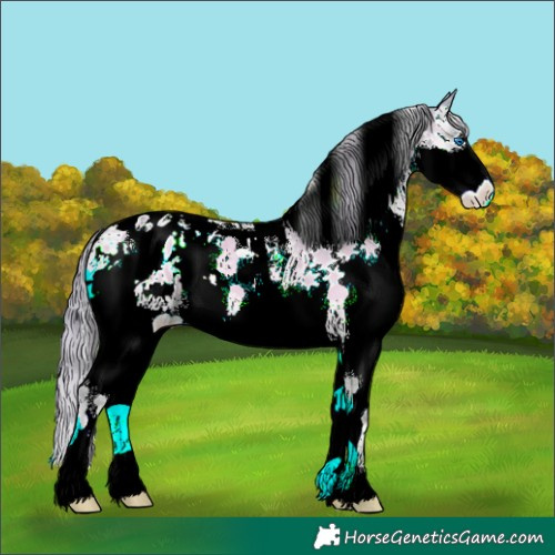 Horse Color:Watercolor Chocolate Classic Champagne Onyx Splash Tobiano Appaloosa 