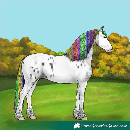Horse Color:Painted Black Splash Tobiano Appaloosa 