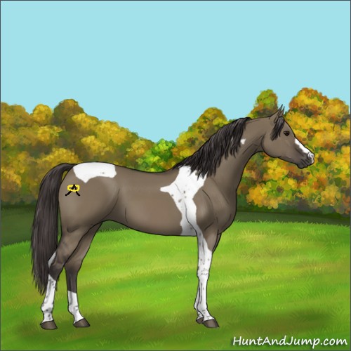Horse Color:Smoky Grullo Tobiano
