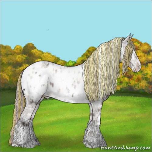 Horse Color:Painted White Spotted Silver Grullo Ice Appaloosa 