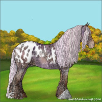 Horse Color:Painted Silver Amber Champagne Ice Appaloosa 
