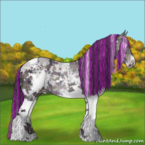 Horse Color:ERROR: UNKNOWN ANOMALY