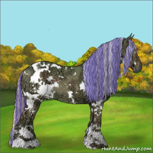 Horse Color:ERROR: UNKNOWN ANOMALY