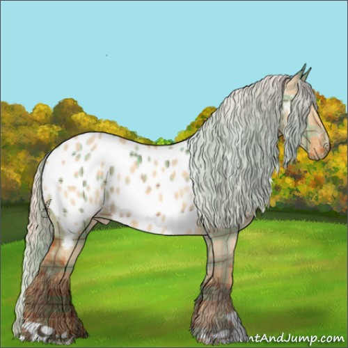Horse Color:Plaid  Silver Bay Dun Appaloosa 