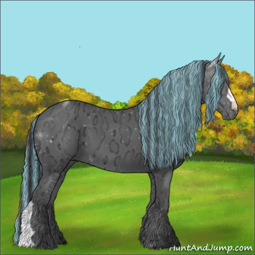 Horse Color:Painted Black Ice 