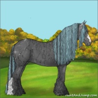 Horse Color:Painted Black Ice 