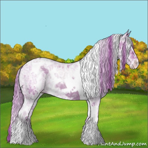 Horse Color:ERROR: UNKNOWN ANOMALY