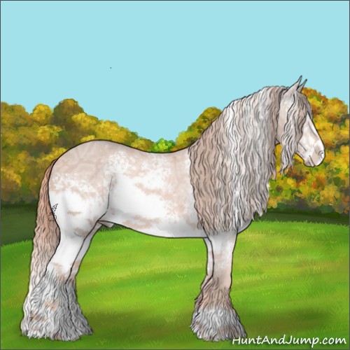 Horse Color:ERROR: UNKNOWN ANOMALY