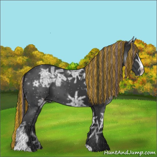 Horse Color:ERROR: UNKNOWN ANOMALY