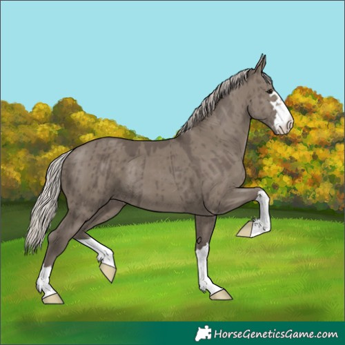 Horse Color:Silver Grullo Brindle