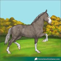 Horse Color:Silver Grullo Brindle