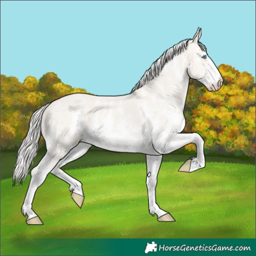 Horse Color:Silver Smoky Creme Dun Sabino Brindle 